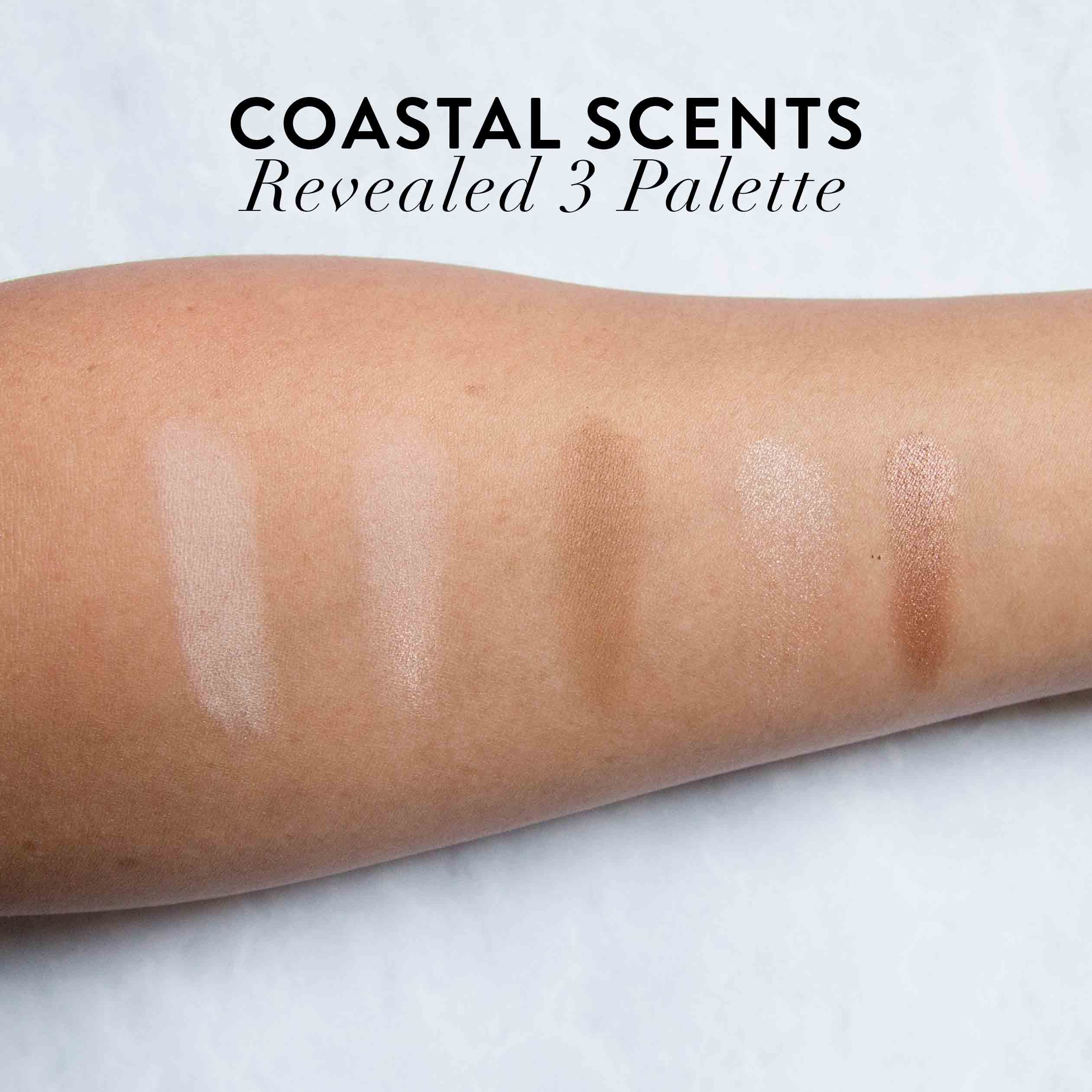 Coastal Scents Revealed 3 Review Swatches