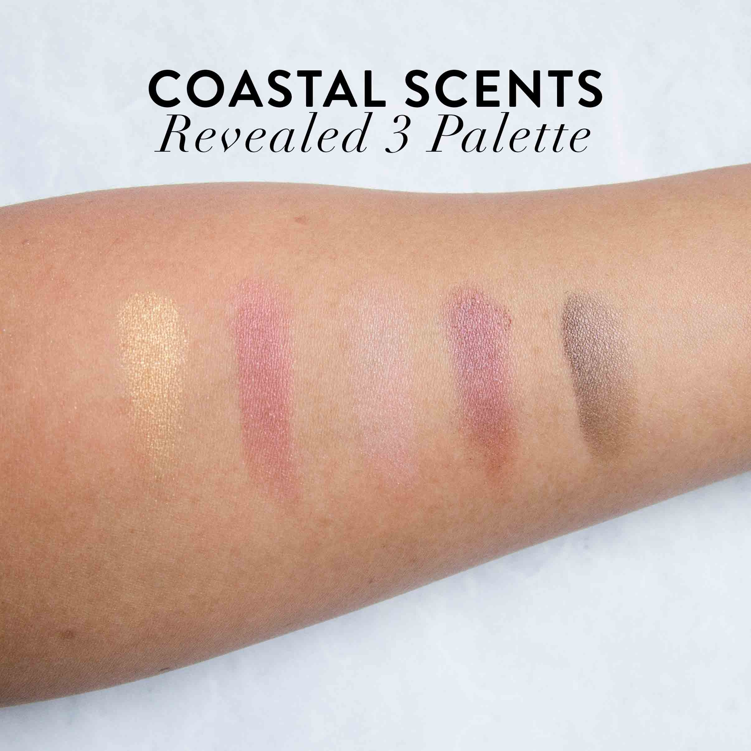 Coastal Scents Revealed 3 Review Swatches