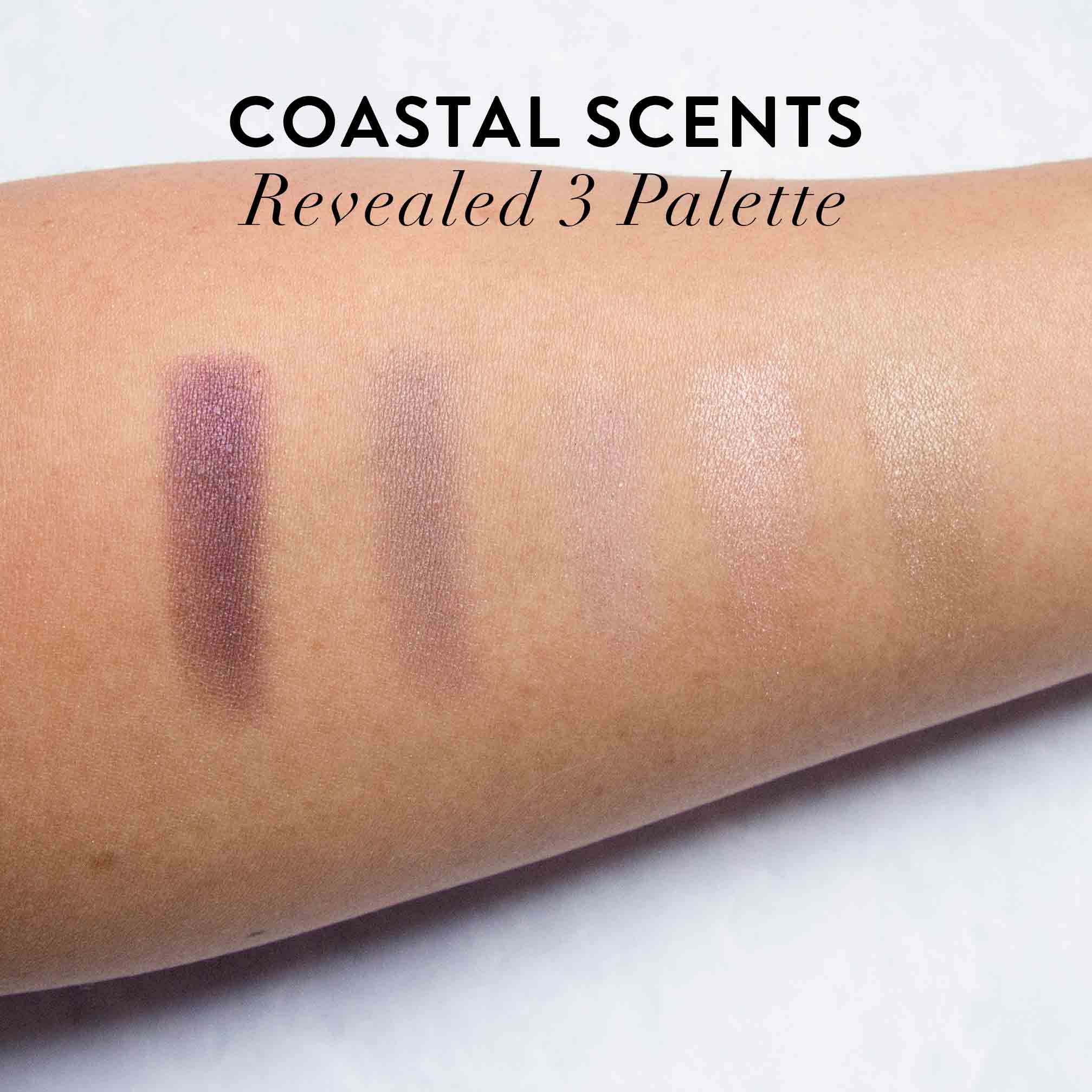 Coastal Scents Revealed 3 Review Swatches