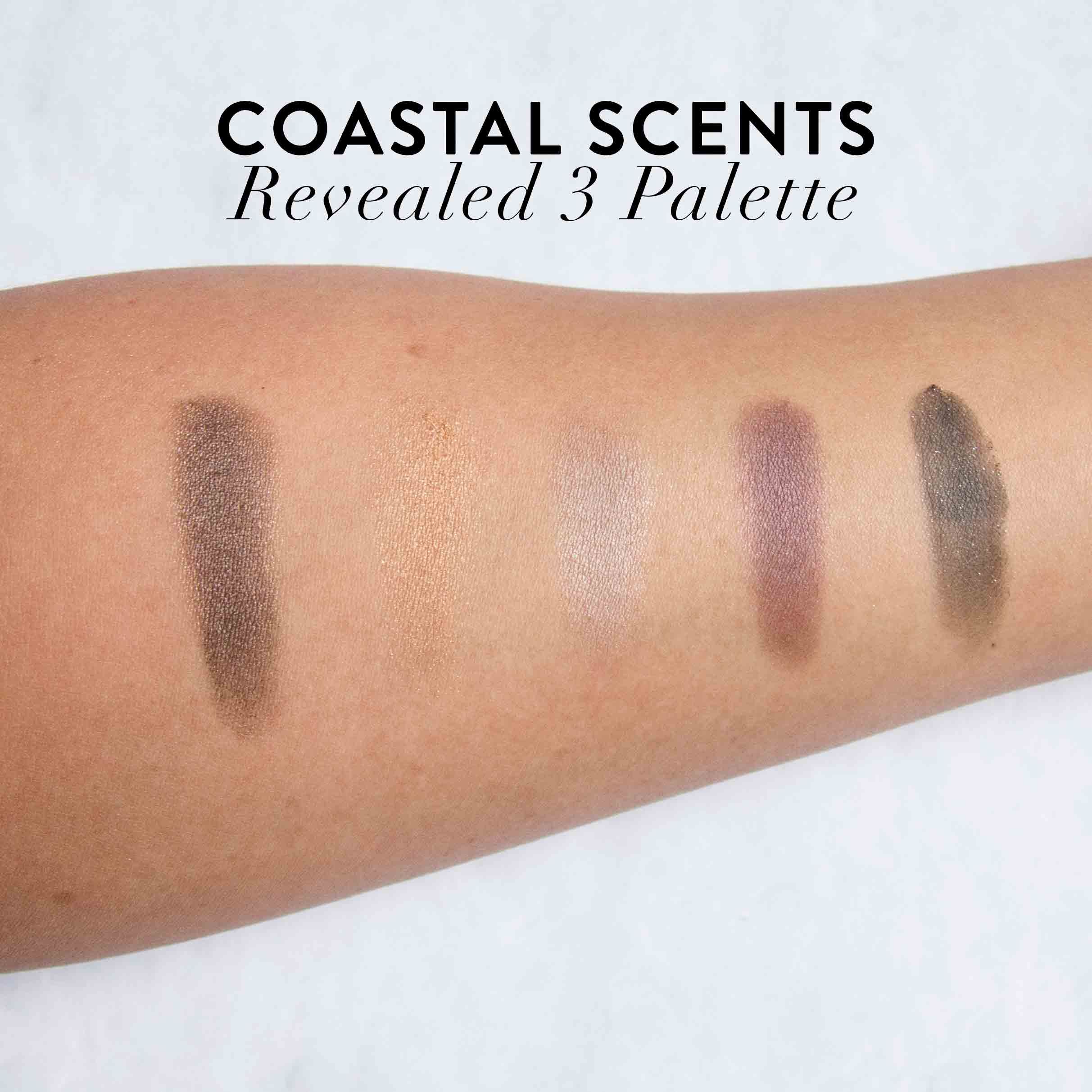 Coastal Scents Revealed 3 Review Swatches