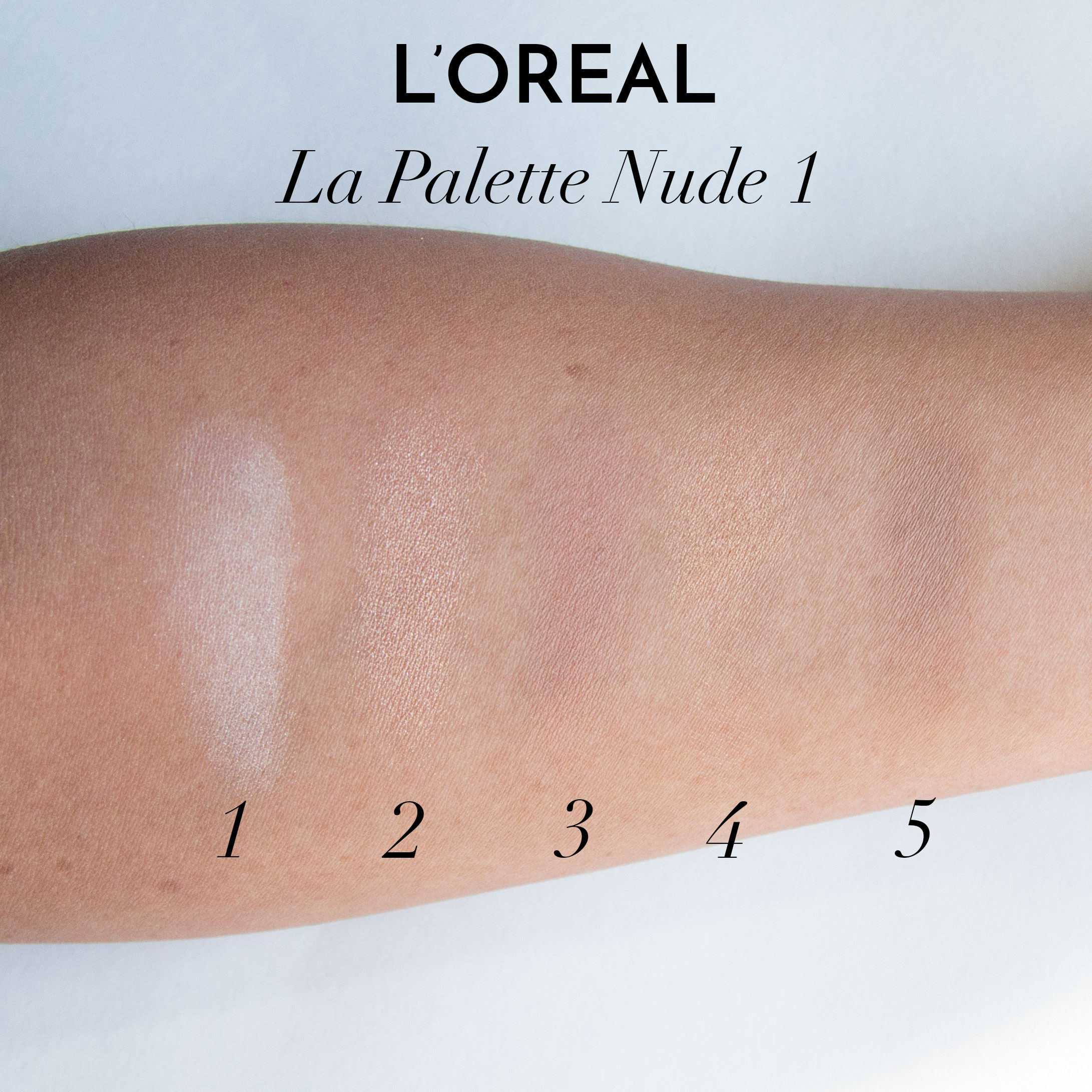 L'oreal La Palette Nude 1 Review Swatches