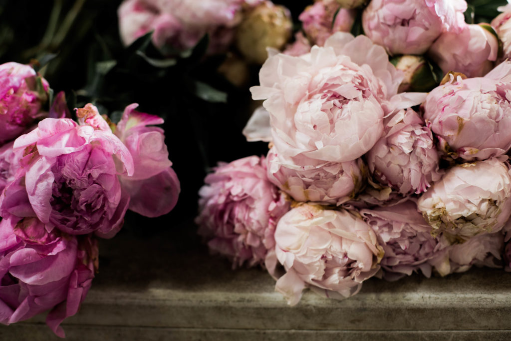 The Beauty Vanity San Francisco Flower Mart