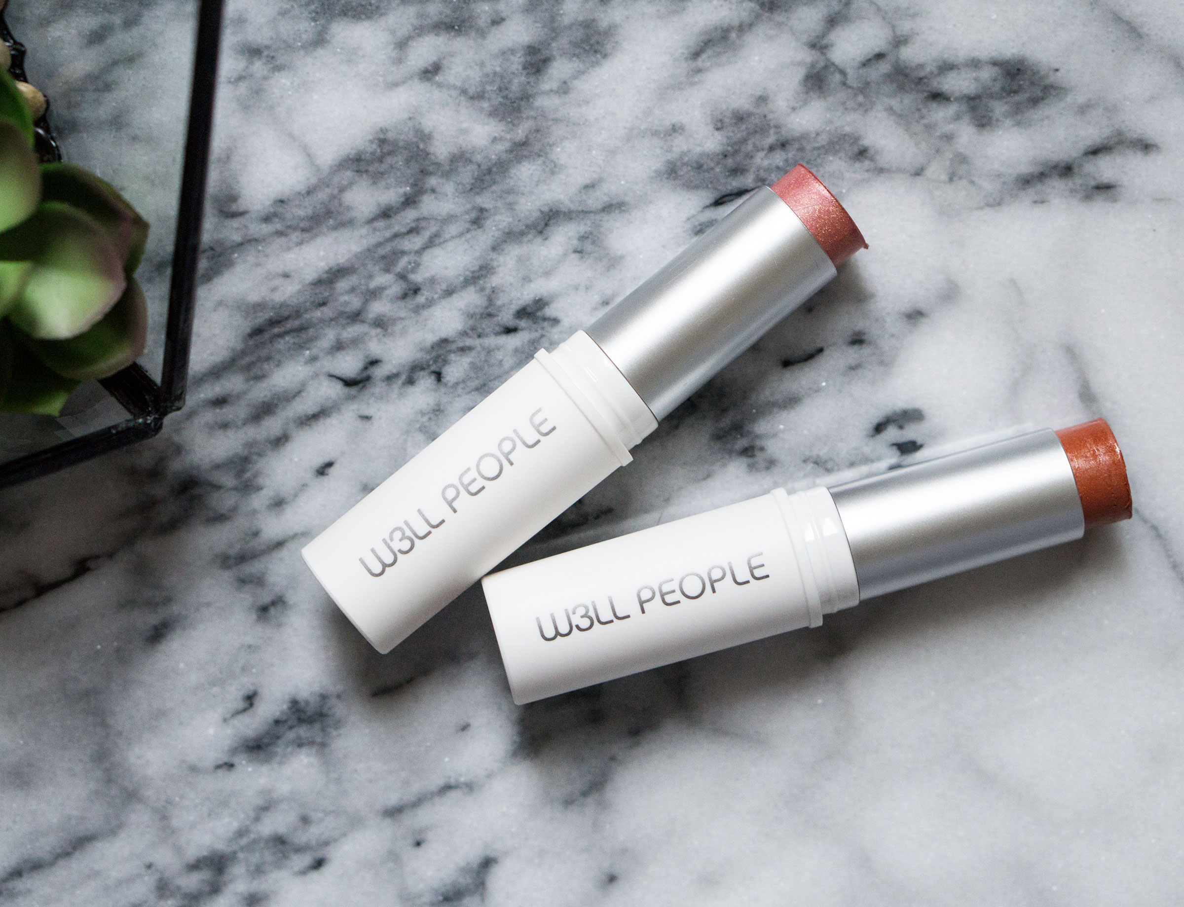 The Beauty Vanity | W3ll People Universalist Luminous Multi Use Colorstick Review Swatches